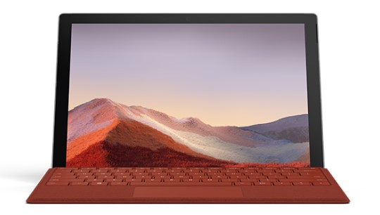 城中清洁和维护 Surface